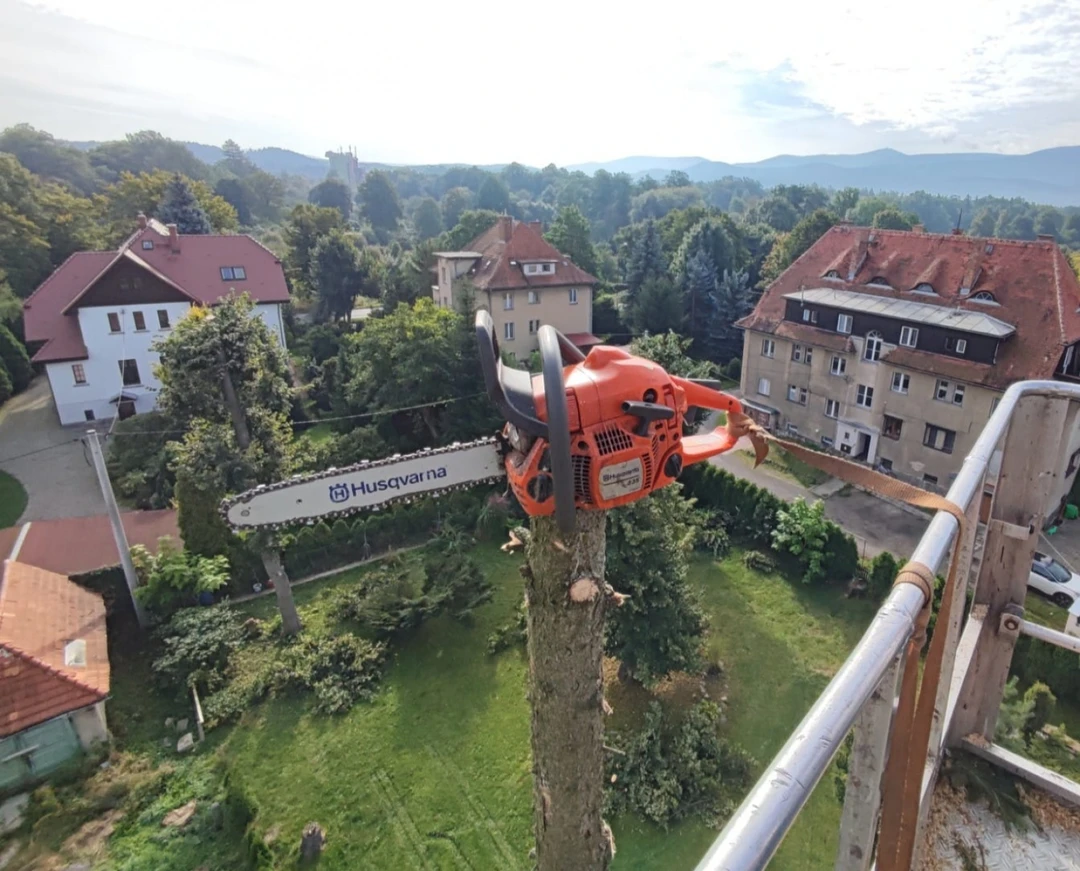 Podnośnik koszowy Lubań — wynajem zwyżki z operatorem